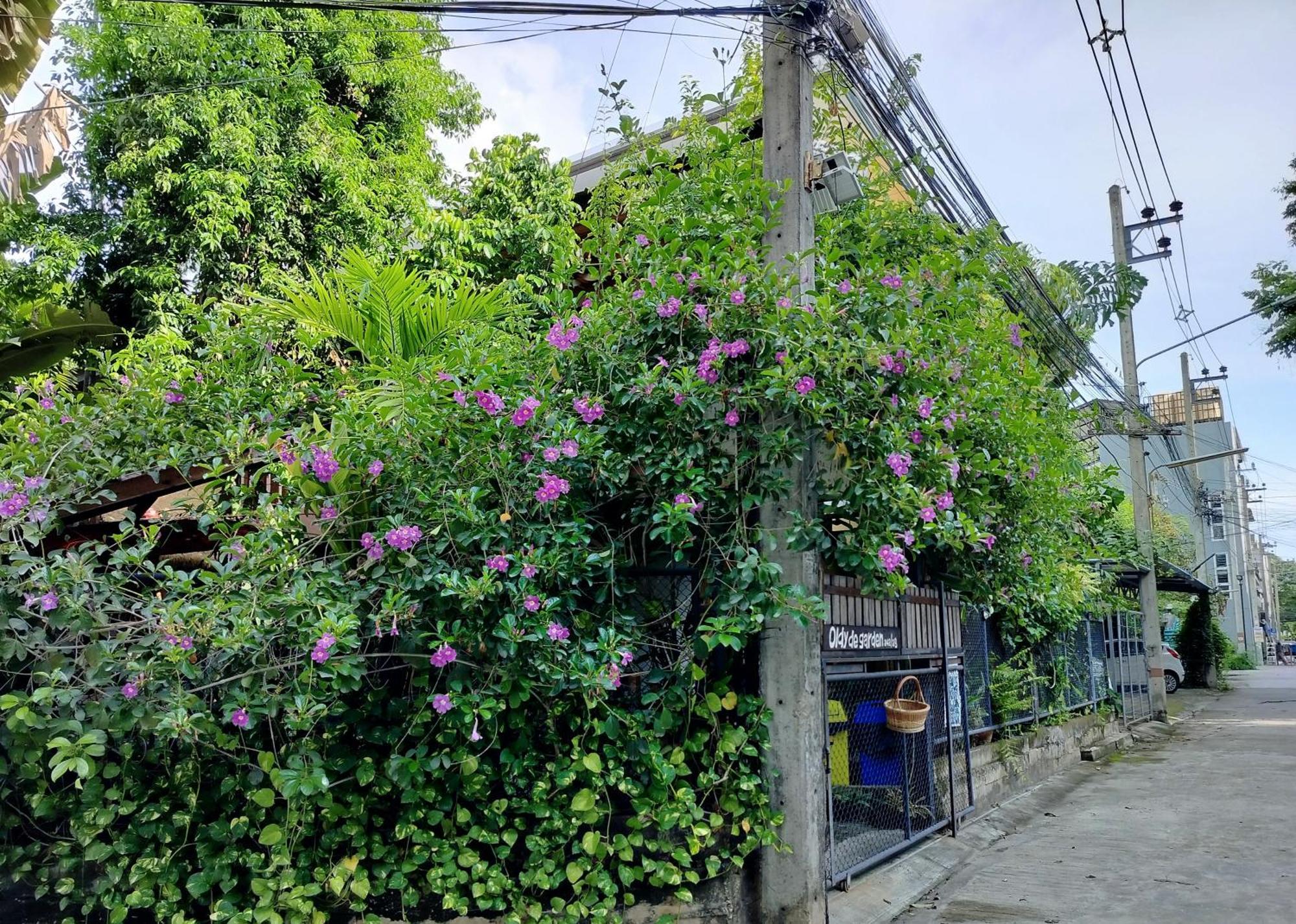 奥尔迪花园公寓 清邁 外观 照片