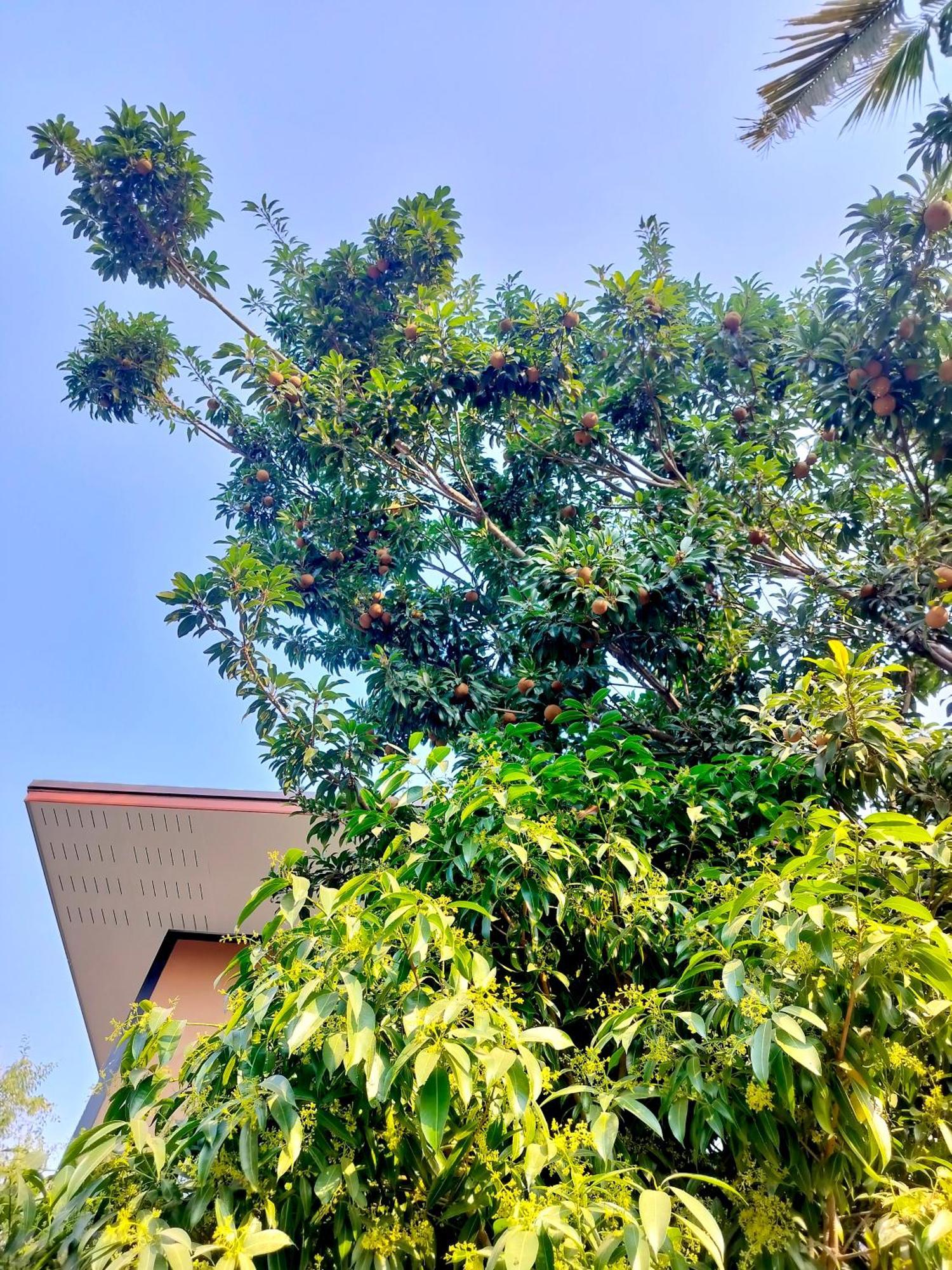 奥尔迪花园公寓 清邁 外观 照片