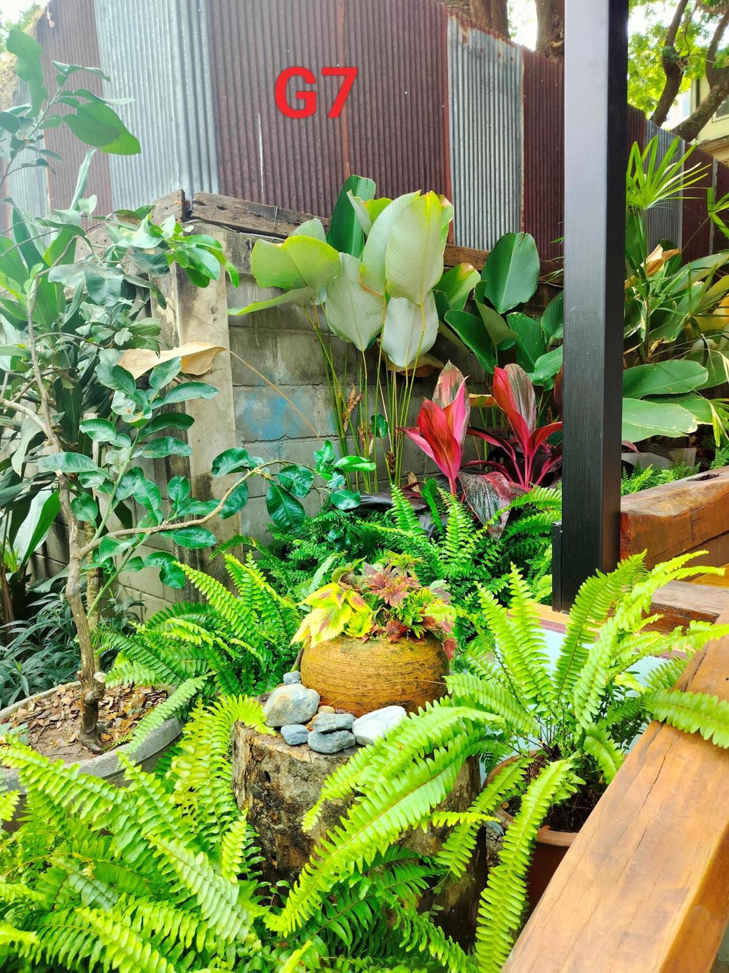 奥尔迪花园公寓 清邁 外观 照片